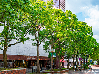 商業施設｜パークシティ武蔵小杉ザ・ガーデンタワーズ