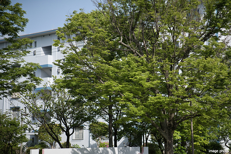 社宅｜パークシティ武蔵小杉ザ・ガーデンタワーズ