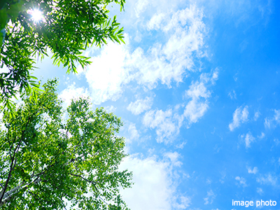 センターガーデン｜パークシティ武蔵小杉ザ・ガーデンタワーズ