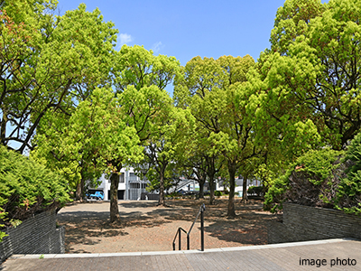 等々力緑地｜パークシティ武蔵小杉ザ・ガーデンタワーズ