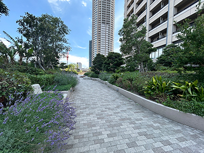 ガーデンヒルトップ｜パークシティ武蔵小杉ザ・ガーデンタワーズ